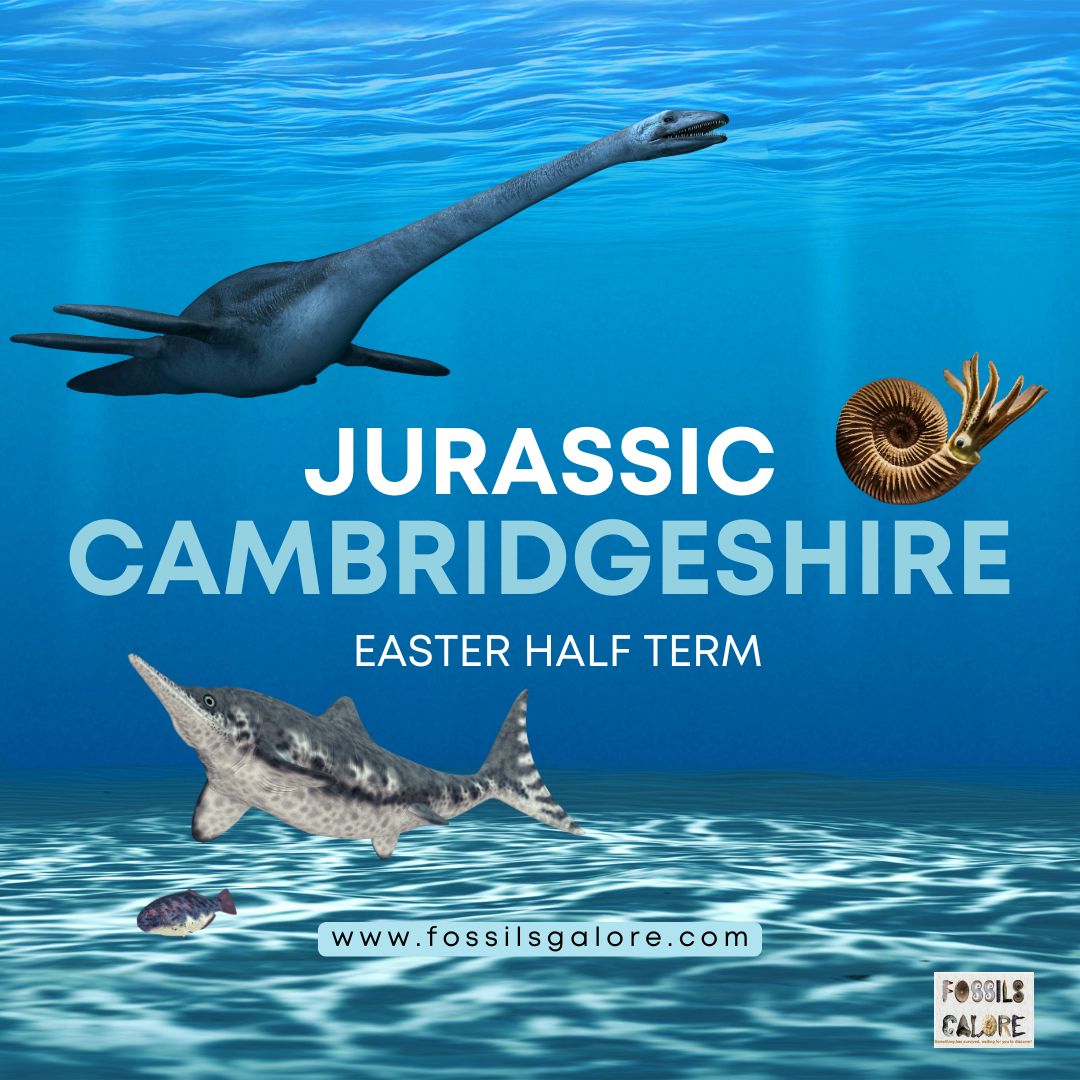Jurassic cambs Post