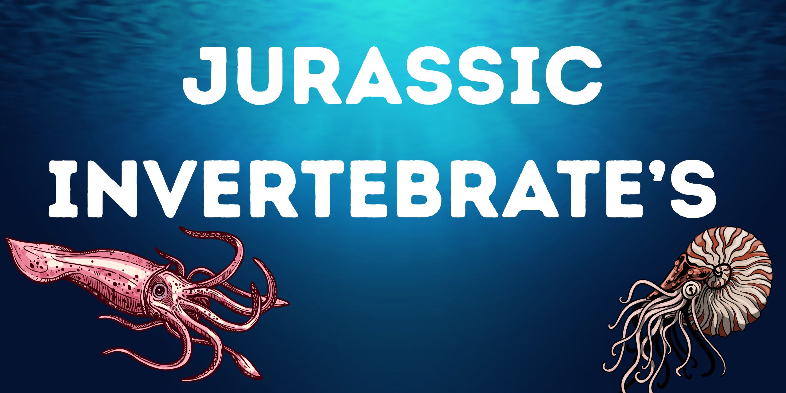 invertebrate