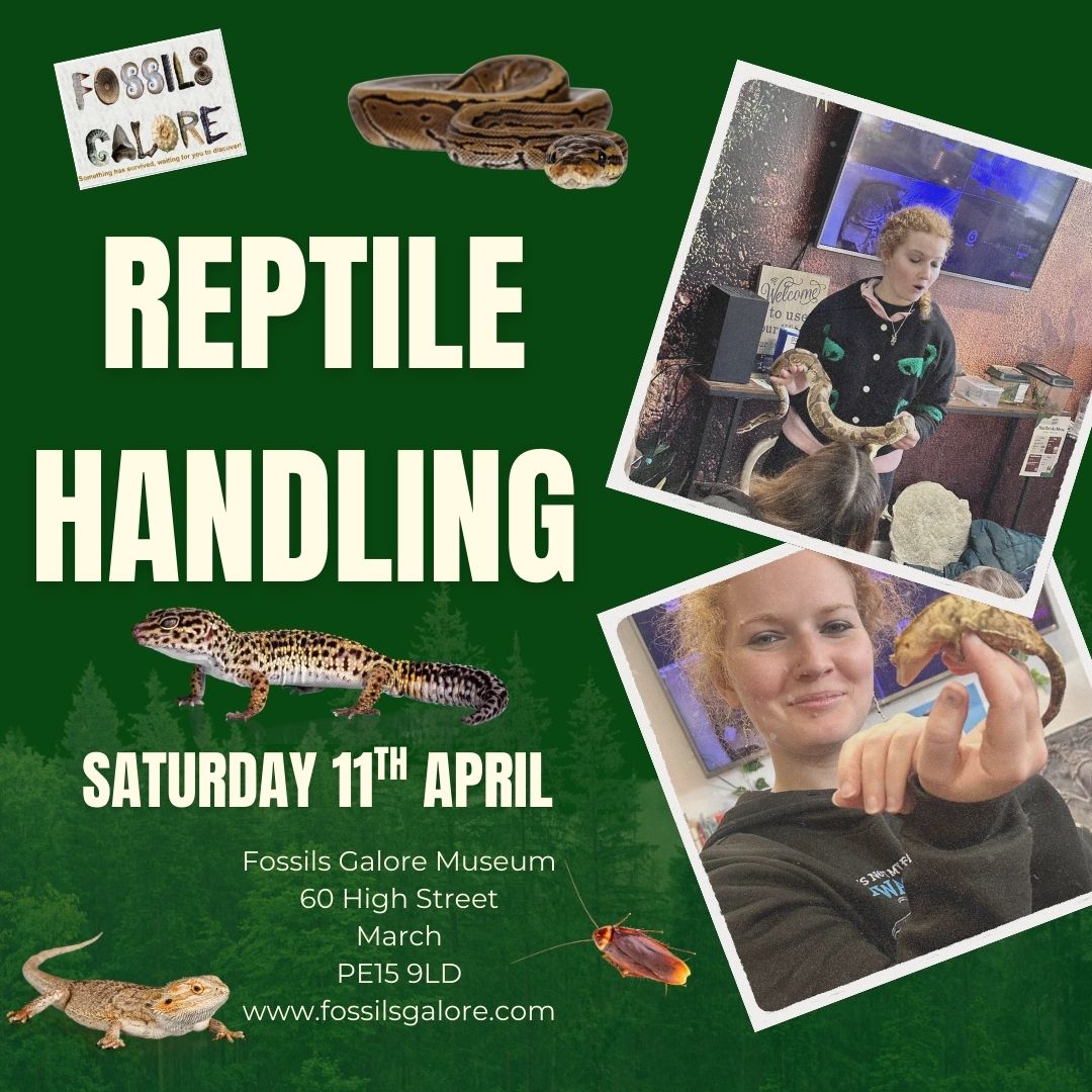 reptile handling april