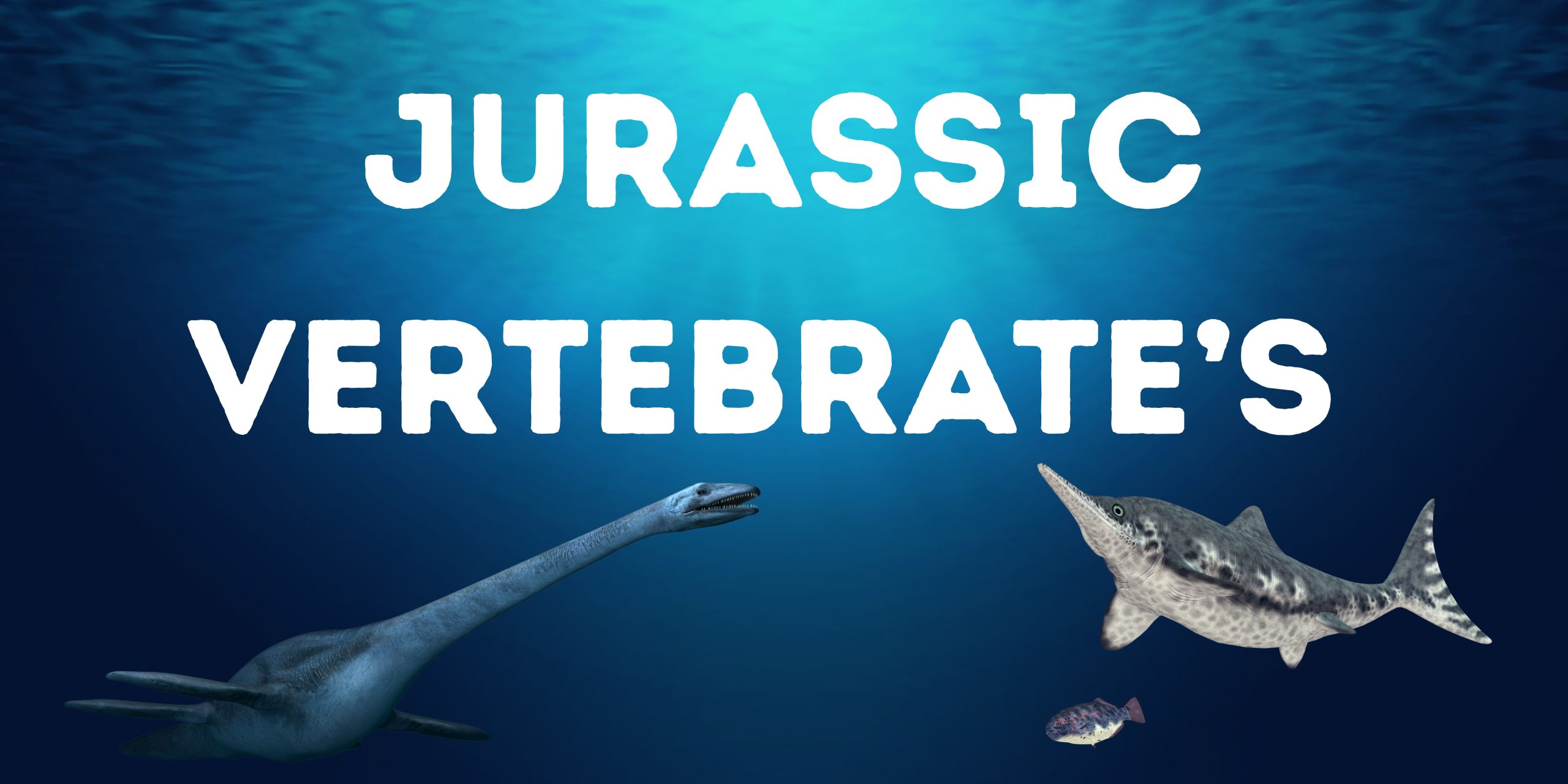 vertebrate