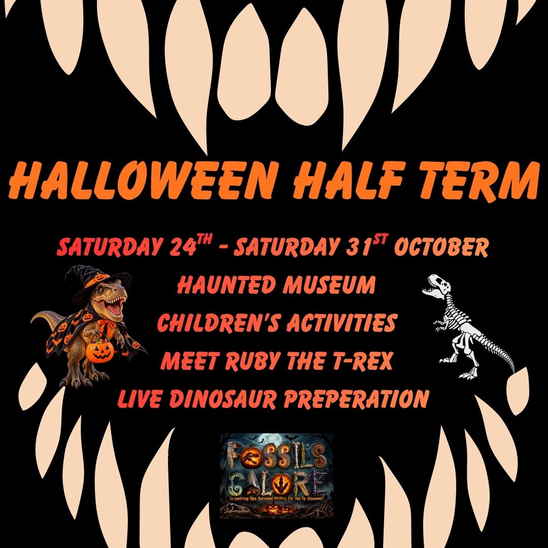 oct half term Post